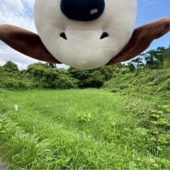 土地売ります!(^^)!300万円　隼人町見次　JR沿線沿　素敵な立地です − 鹿児島県