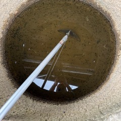 おたまじゃくし