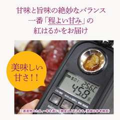 人気商品です！の画像