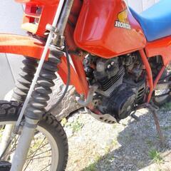 ホンダ　XLX250R　現状車 の画像