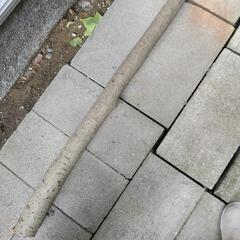 丸太　