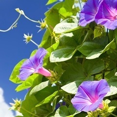 ７月３日(木)飲み会やりますよ🤗