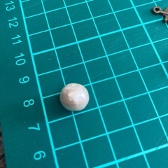 チャーム＆コットンパールの画像