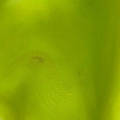 バンボ　の画像