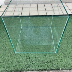 30キューブ水槽の画像