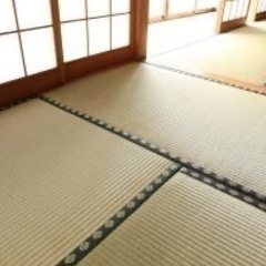 畳　たたみ　欲しいです🙇
