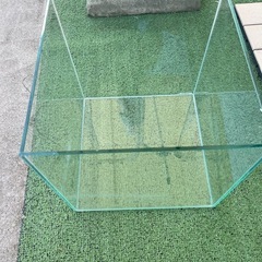 30センチキューブ水槽
の画像