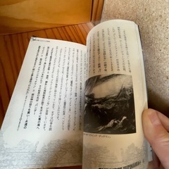 ワンピース　最強考察本の画像