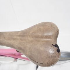 LOUIS GARNEAU 「ルイガノ」 LGS-MV1 20インチ ミニベロの画像