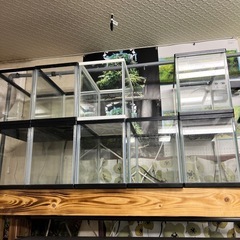 めだか用品 処分価格の画像