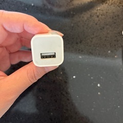 iPhone 充電器　Apple純正の画像