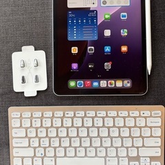 【iPad Pro 11インチ セルラーモデル】Apple Pe...