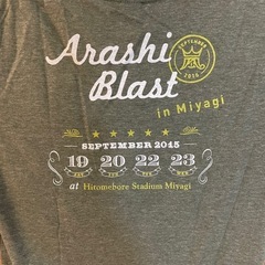 A⭐️新品・未使用⭐️🔷嵐🔷Tシャツ🟪サイズ：フリー（M〜L)🟪プレミア品🟪の画像