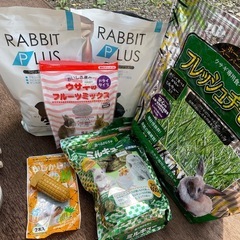 ウサギゲージの画像