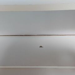W120×D29.5×H200cm 本棚の画像