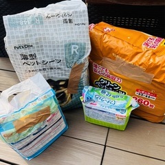 早い者勝ち　ペット用　シート　オムツ　大量　犬　マナーウエアの画像