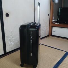 キャリーバッグの画像
