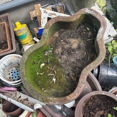 植木鉢　の画像