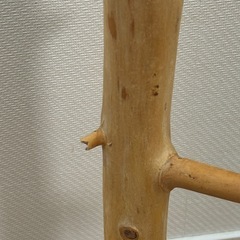 インコ　オウム　止まり木　スタンドの画像