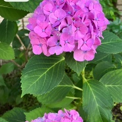 友達募集です。 - メンバー募集