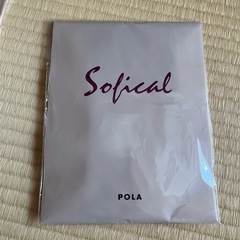 【新品】POLA ストッキング1足｜カラー：シティブラウンの画像