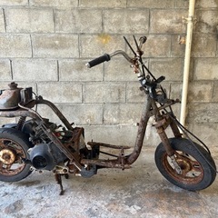 AF 67トゥデイの画像