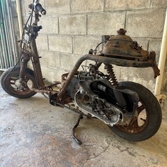 AF 67トゥデイの画像
