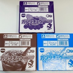 60本　ガブリチュウ