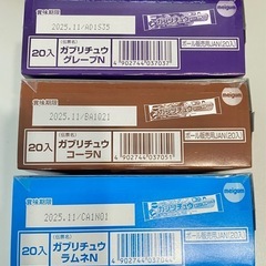 60本　ガブリチュウの画像