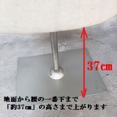 スタンド付き トルソー バスト80㎝の画像