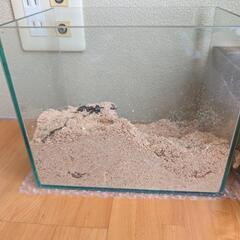フレームレス　ガラス　水槽　※訳あり