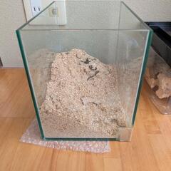 フレームレス ガラス 水槽　昆虫飼育セット ※訳ありの画像