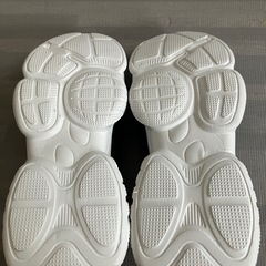 新品メッシュシューズの画像