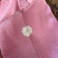 3着物（色無地）の画像