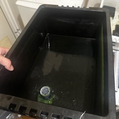 飼育ケース プラスチック製 黒の画像
