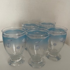 和グラス 5つセット