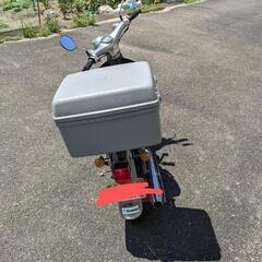 【自賠付】リトルカブ　セル付きキャブ車　風防付きの画像