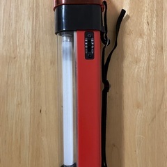 蛍光　電球　ダブルライトの画像