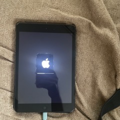 iPad mini 第1世代の画像