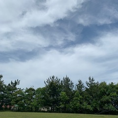 カウンセリング仲間募集