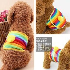 犬用/マナーベルト（新品）Lサイズの画像