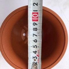 10個セットの画像