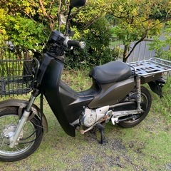 相談中　　　　　　　　　　　　　　　　　　　　　　ホンダ　カブプ...