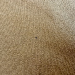 値下げ★アウラニディズニー　ハワイ限定　ダッフィー Tシャツ M(130〜140)の画像