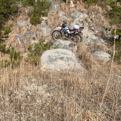 YAMAHA ヤマハ　セロー225 セローの画像