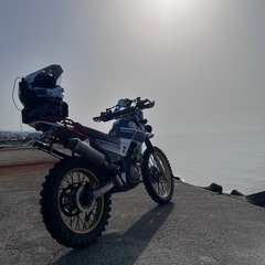 YAMAHA ヤマハ　セロー225 セローの画像