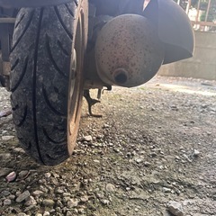 原付 トゥデイ 50ccの画像