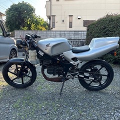 NS-1 の画像
