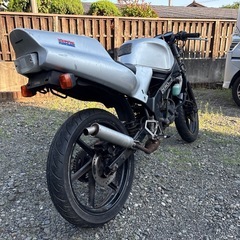 NS-1 の画像