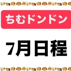 個人参加型フットサル　ちむドンドン　7月日程